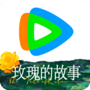 严厉男主调教女m